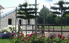 B&B De 7 Sprong